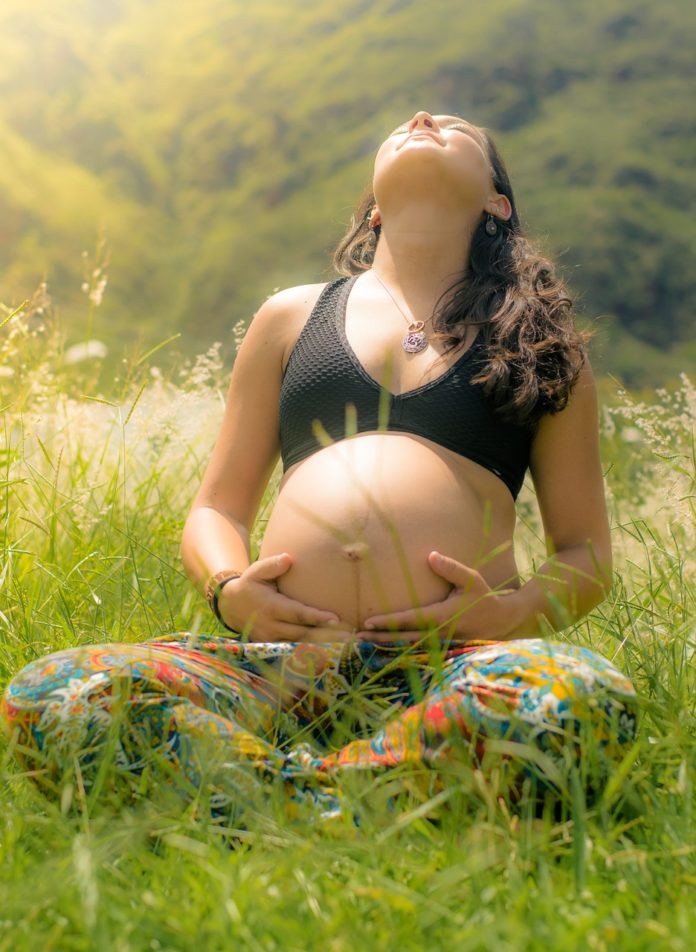 woman-1246318_1280 pregnant woman