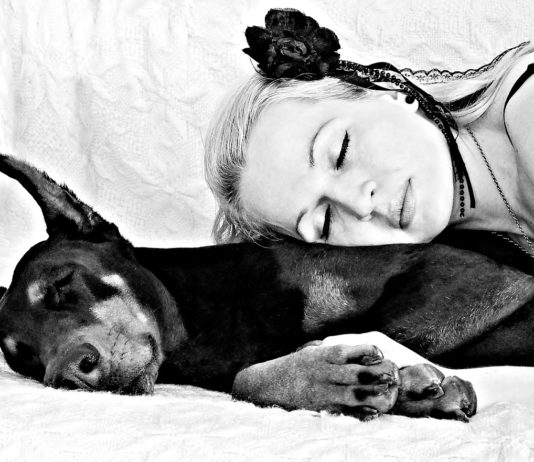 According to a Study dogs assist women to Sleep better than the men companion